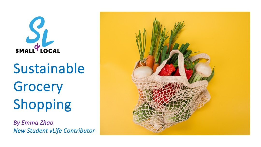 Sustainable Grocery Shopping Small & Local Blog reusable produce bag image