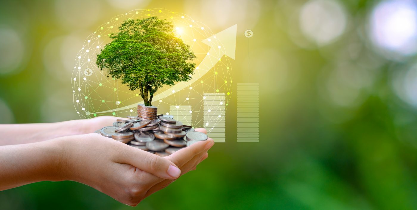 hand holding tiny tree growing in money. vStore feature image Black Star Wealth. Financial Advisors