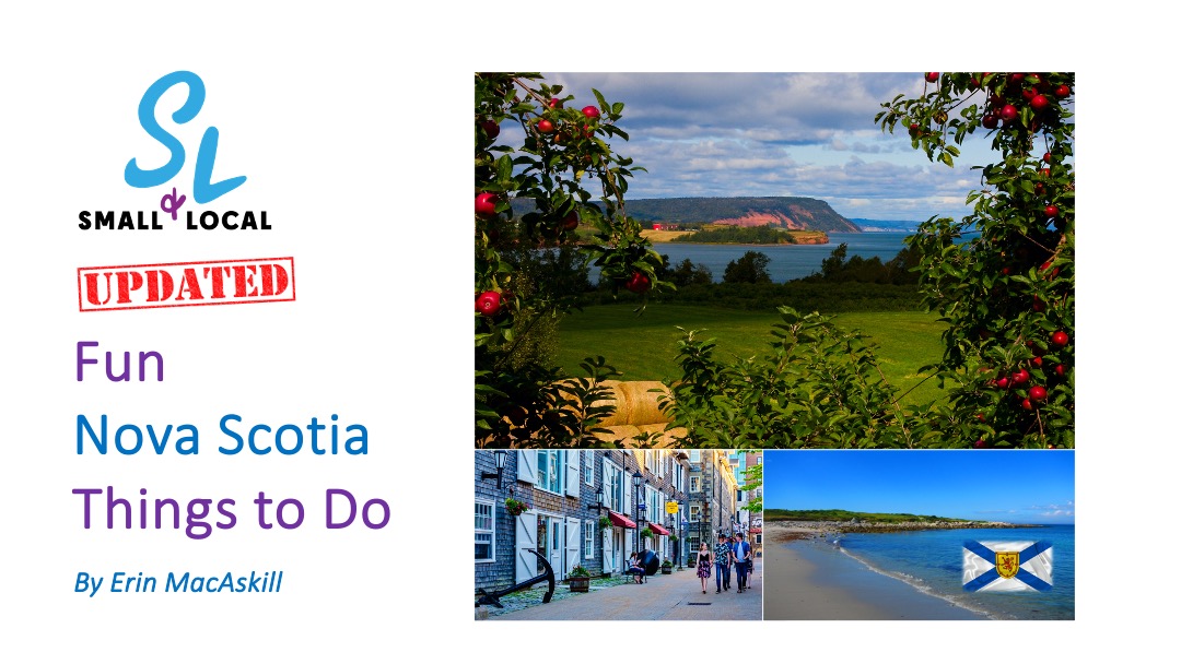 Small & Local Blog Updated Things to Do in NS Featured image