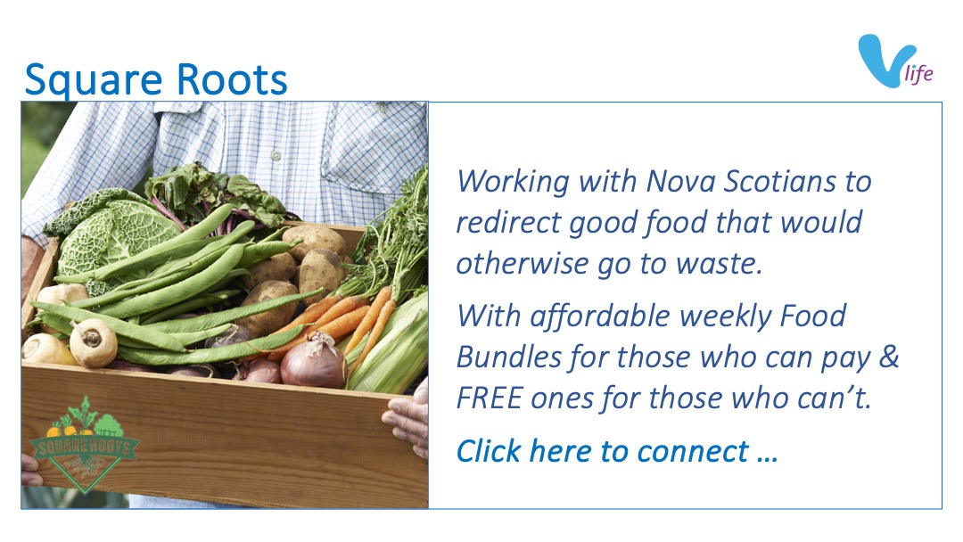 SL graphic Square Roots Featured Affordable and Free Produce Boxes Jan 2024