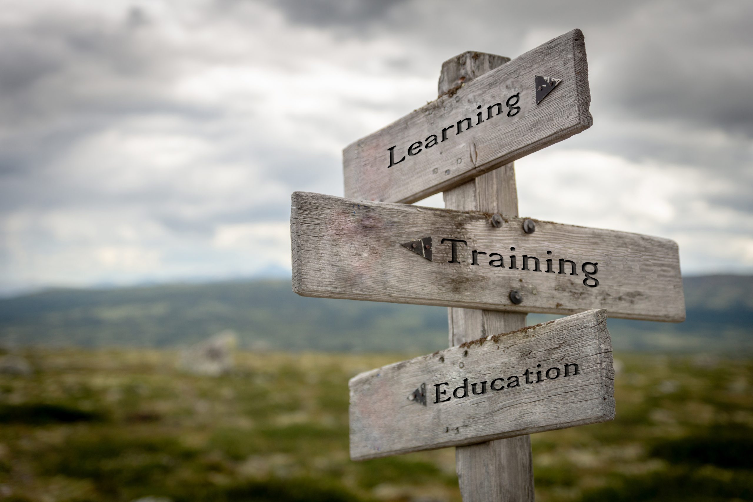 Learning, Training, Education Sign Posts image. Sankofa Bookkeeping